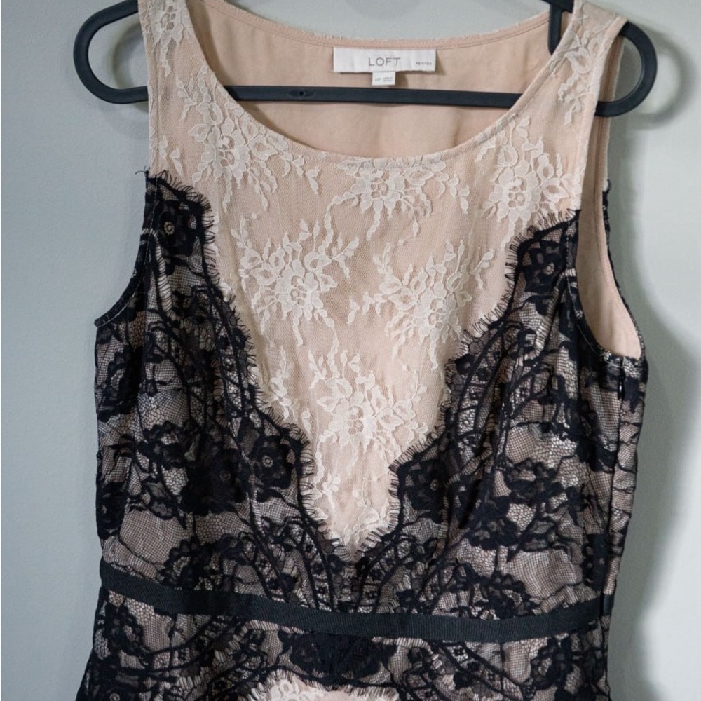 LOFT Blush and Black Lace Overlay Sleeveless Blouse